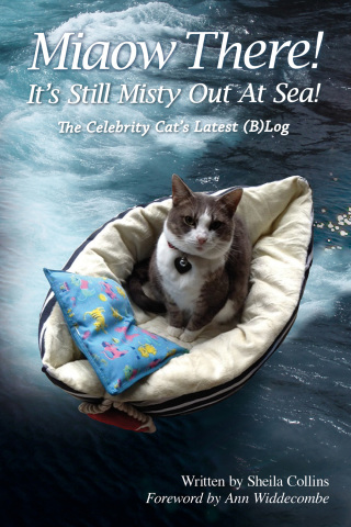صورة الغلاف: Miaow There! It's Still Misty Out At Sea! 1st edition 9780993337161