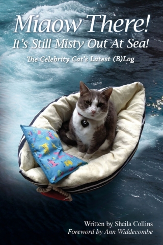 Imagen de portada: Miaow There! It's Still Misty Out At Sea! 1st edition 9780993337222