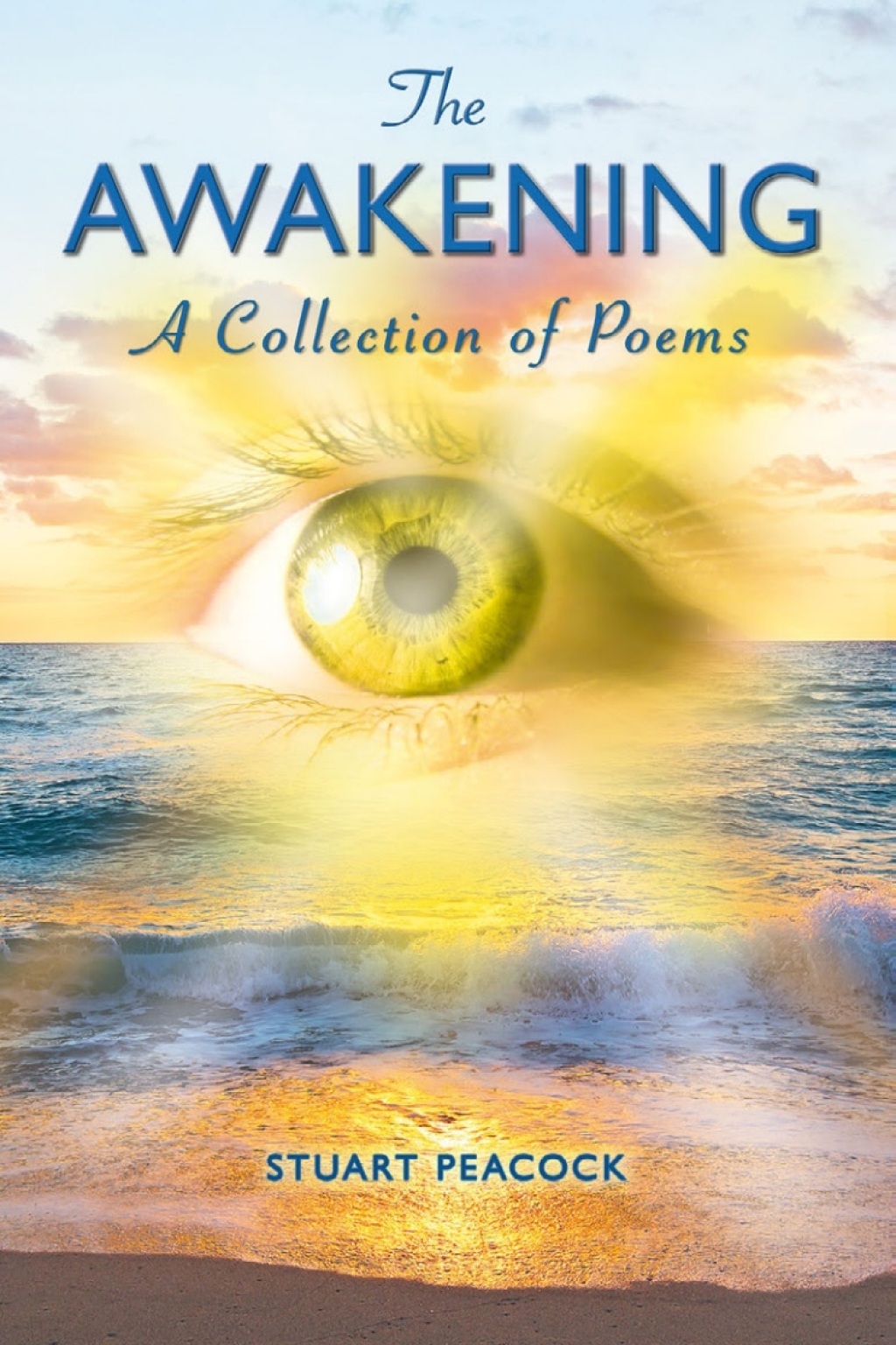 The Awakening  2nd Edition eBook