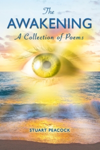 Cover image: The Awakening 2nd edition 9780993337260