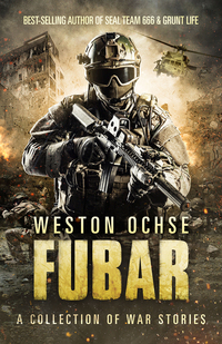 Cover image: FUBAR 1st edition 9780994302946