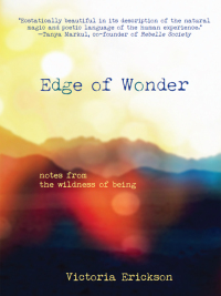 Cover image: Edge of Wonder 9780994784315