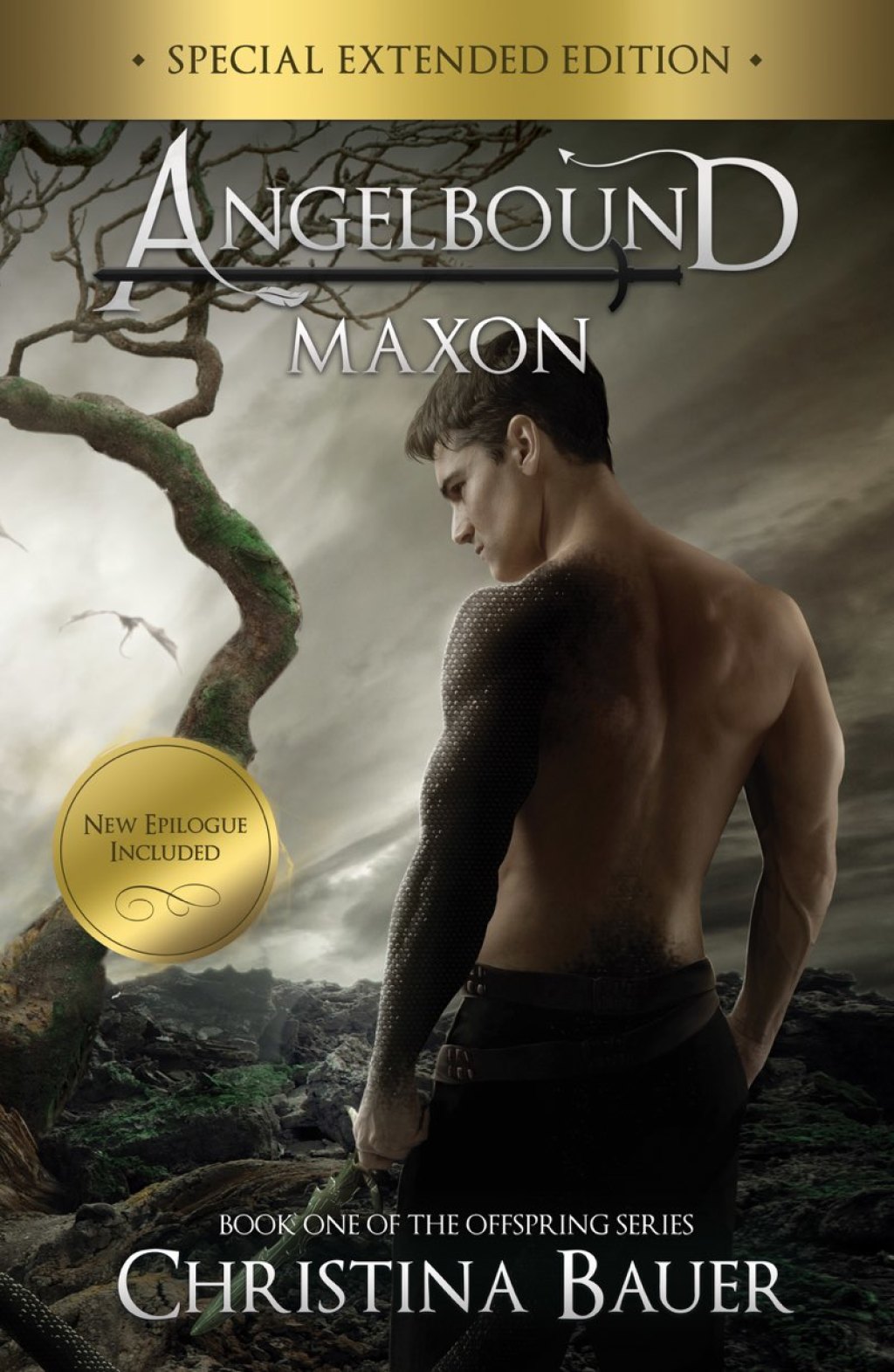 Maxon 1st Edition