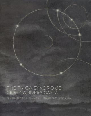 Cover image: The Taiga Syndrome 9780997366679