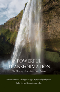 Imagen de portada: Powerful Transformation 9780997716207