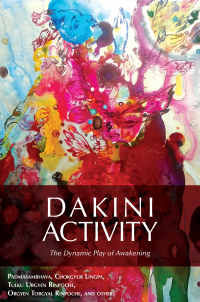 Cover image: Dakini Activity 9780990997863