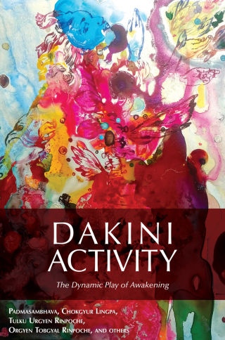 Titelbild: Dakini Activity 9780990997863
