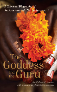 Cover image: The Goddess and the Guru 1st edition 9780997946604
