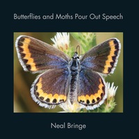 Cover image: Butterflies and Moths Pour Out Speech 9780998415406