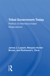 Imagen de portada: Tribal Government Today 1st edition 9780367212100