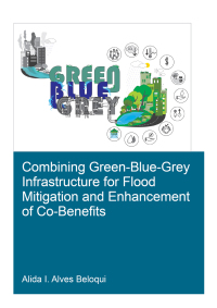 Omslagafbeelding: Combining Green-Blue-Grey Infrastructure for Flood Mitigation and Enhancement of Co-Benfits 1st edition 9780367485979