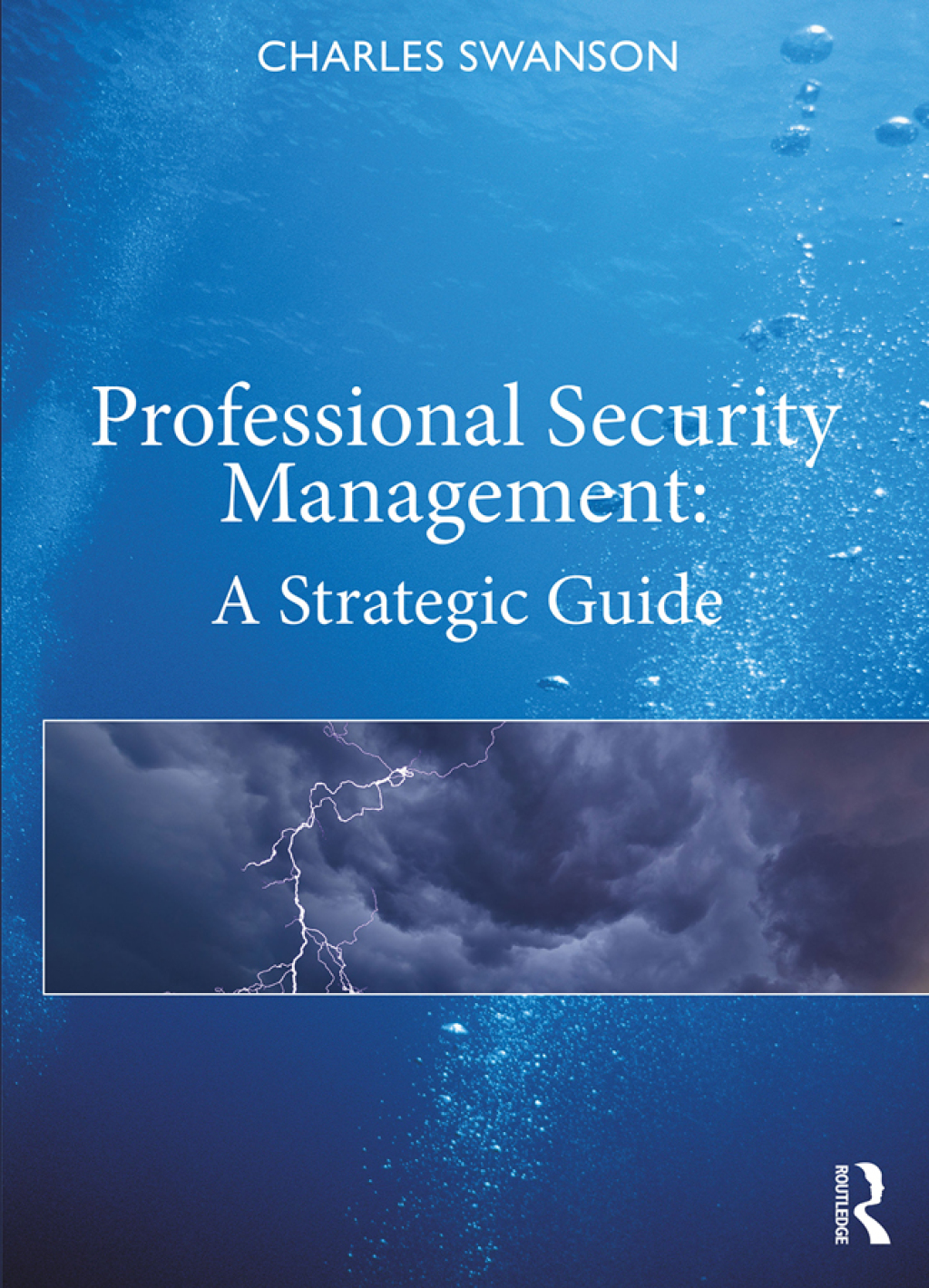 Professional Security Management A Strategic Guide 1st Edition