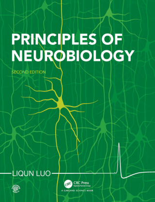 表紙画像: Principles of Neurobiology 2nd edition 9780367514716