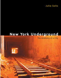 Immagine di copertina: New York Underground 1st edition 9780415950138