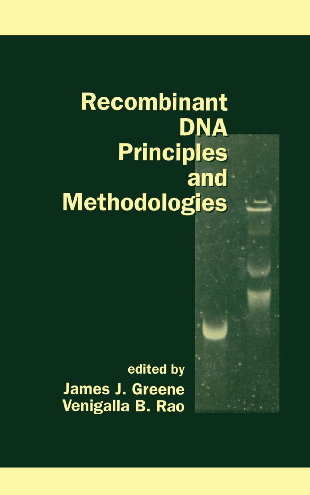 Recombinant DNA Principles and Methodologies 1st Edition