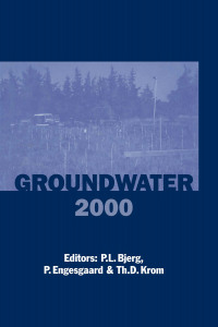 Cover image: Groundwater 2000 1st edition 9789058091338