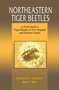 Titelbild: Northeastern Tiger Beetles 1st edition 9780849319150