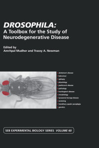 Imagen de portada: Drosophila: A Toolbox for the Study of Neurodegenerative Disease 1st edition 9780415411851