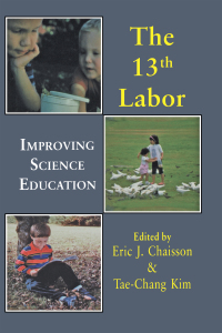 Immagine di copertina: Thirteenth Labor 1st edition 9789057005381