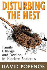 Cover image: Disturbing the Nest 1st edition 9780202303512