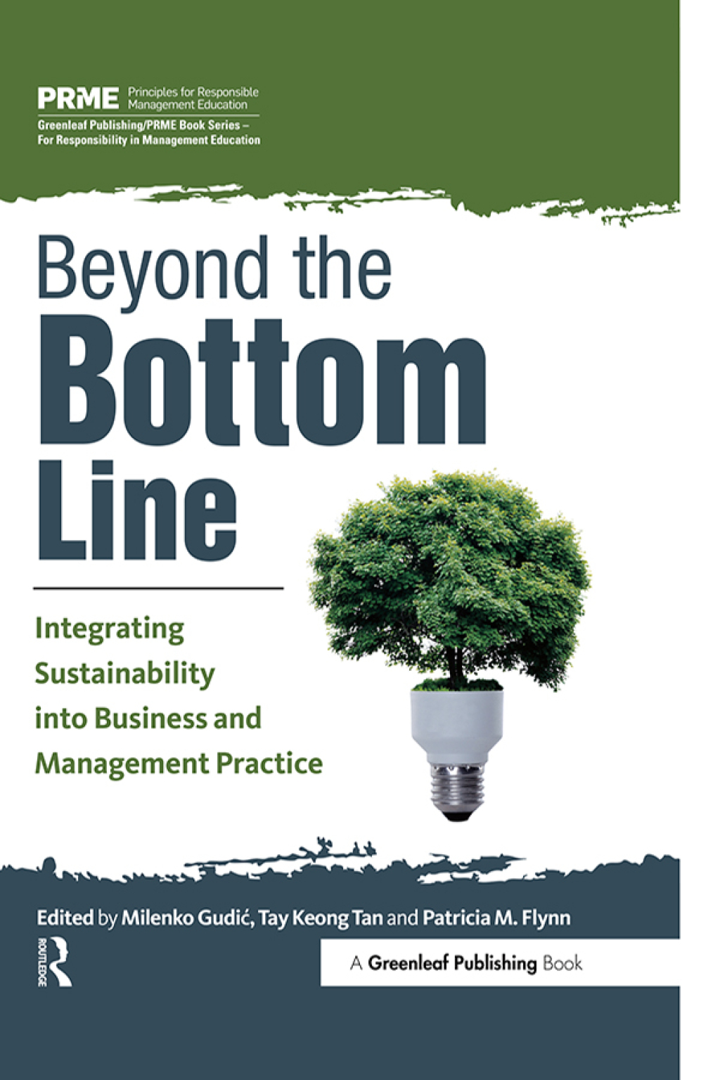 Beyond the Bottom Line Integrating Sustainability into Business and Management Practice 1st Edition
