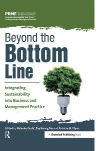 Cover image: Beyond the Bottom Line 1st edition 9781783533275