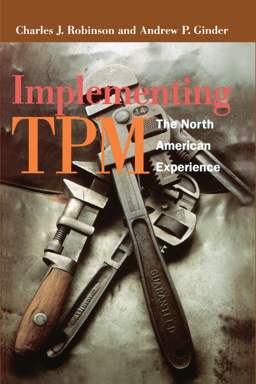 Implementing TPM The North American Experience 1st Edition