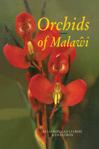 Cover image: Orchids of Malawi 1st edition 9789061918080