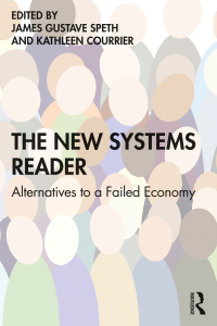 Omslagafbeelding: The New Systems Reader 1st edition 9780367313395