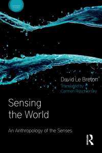 Cover image: Sensing the World 1st edition 9781474246026
