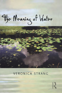 صورة الغلاف: The Meaning of Water 1st edition 9781859737484