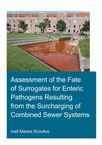 Omslagafbeelding: Assessment of the Fate of Surrogates for Enteric Pathogens Resulting From the Surcharging of Combined Sewer Systems 1st edition 9780367556921