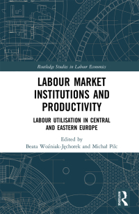 Cover image: Labour Market Institutions and Productivity 1st edition 9780367444280