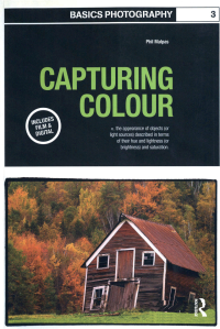 Omslagafbeelding: Capturing Colour 1st edition 9780367717629
