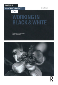 Omslagafbeelding: Working in Black & White 1st edition 9780367720148