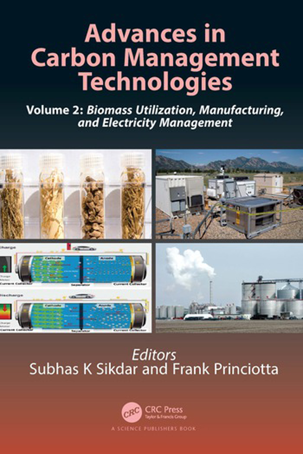 Advances in Carbon Management Technologies Biomass Utilization, Manufacturing, and Electricity Management, Volume 2 1st Edition