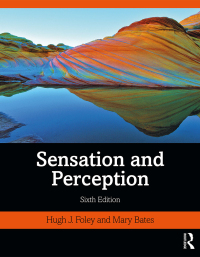 表紙画像: Sensation and Perception 6th edition 9780367226053