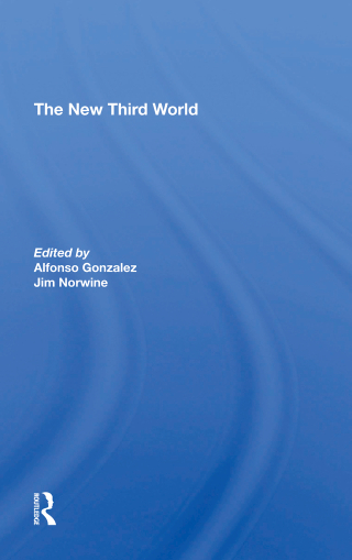 Titelbild: The New Third World 1st edition 9780367294434