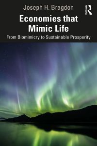 Cover image: Economies that Mimic Life 1st edition 9780367625979