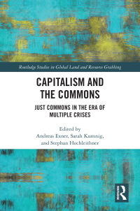 表紙画像: Capitalism and the Commons 1st edition 9780367420024