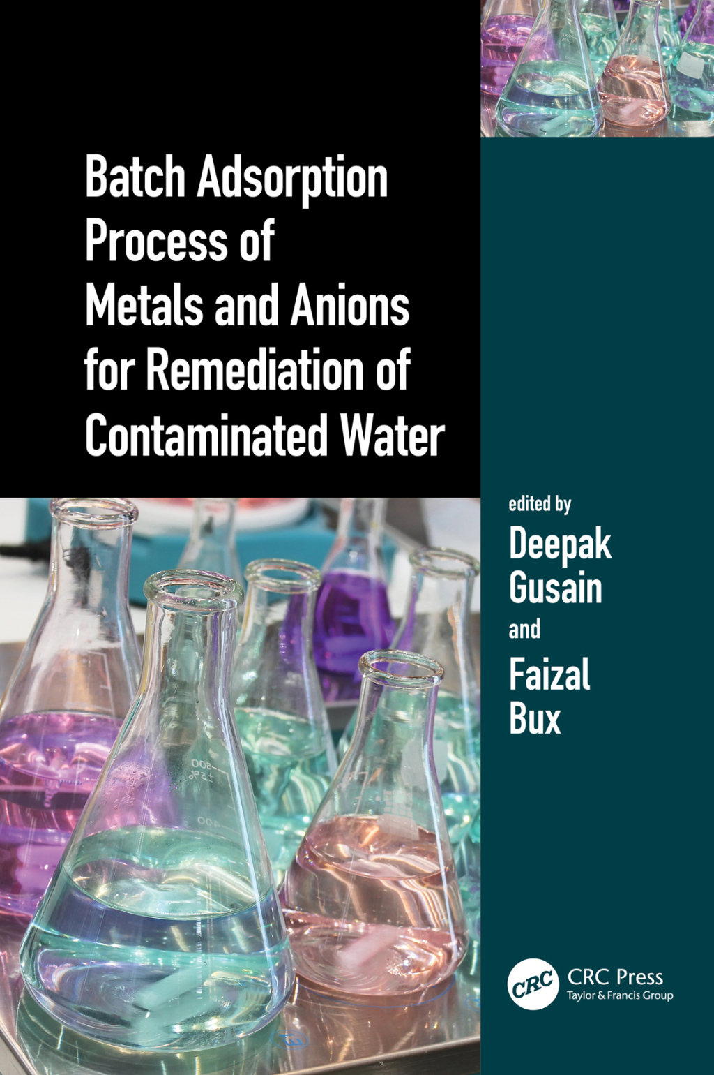 Batch Adsorption Process of Metals and Anions for Remediation of Contaminated Water 1st Edition