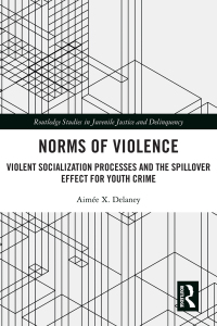 Cover image: Norms of Violence 1st edition 9780367712310