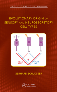 Imagen de portada: Evolutionary Origin of Sensory and Neurosecretory Cell Types 1st edition 9780367749804