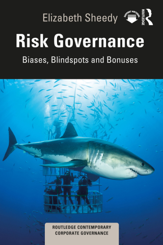 Cover image: Risk Governance 1st edition 9780367642662