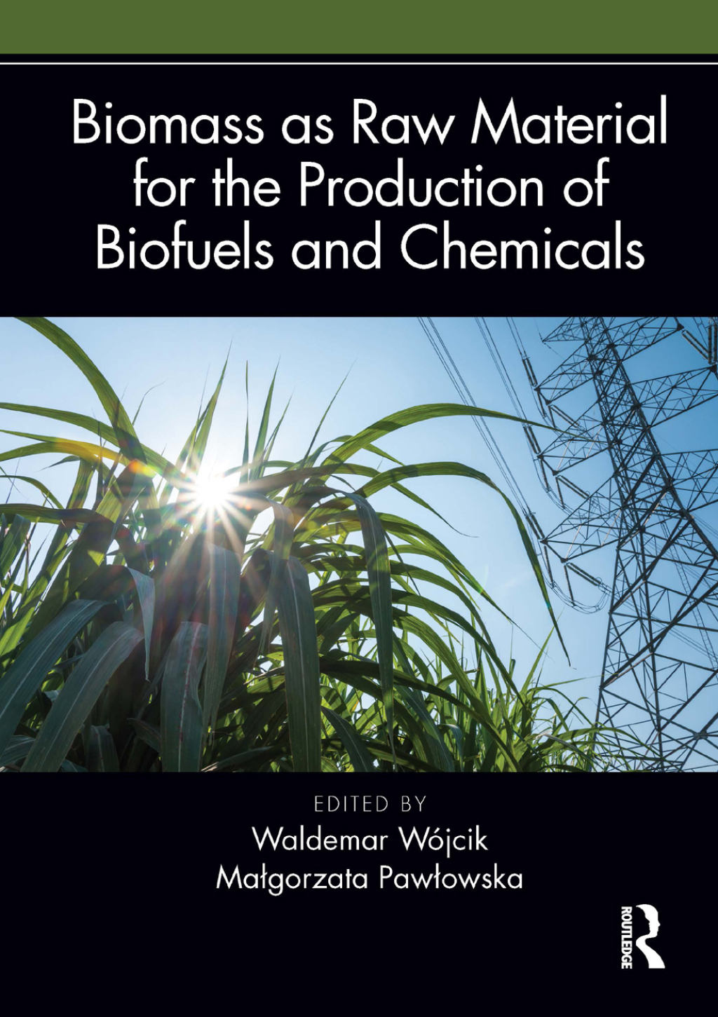 Biomass as Raw Material for the Production of Biofuels and Chemicals 1st Edition