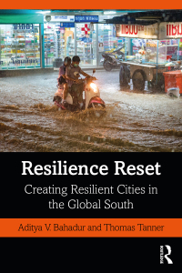 Cover image: Resilience Reset 1st edition 9780367375508