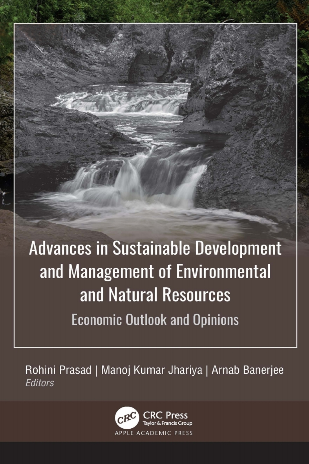 Advances in Sustainable Development and Management of Environmental and Natural Resources Economic Outlook and Opinions, 2-volume set 1st Edition