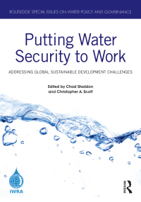 صورة الغلاف: Putting Water Security to Work 1st edition 9780367650209
