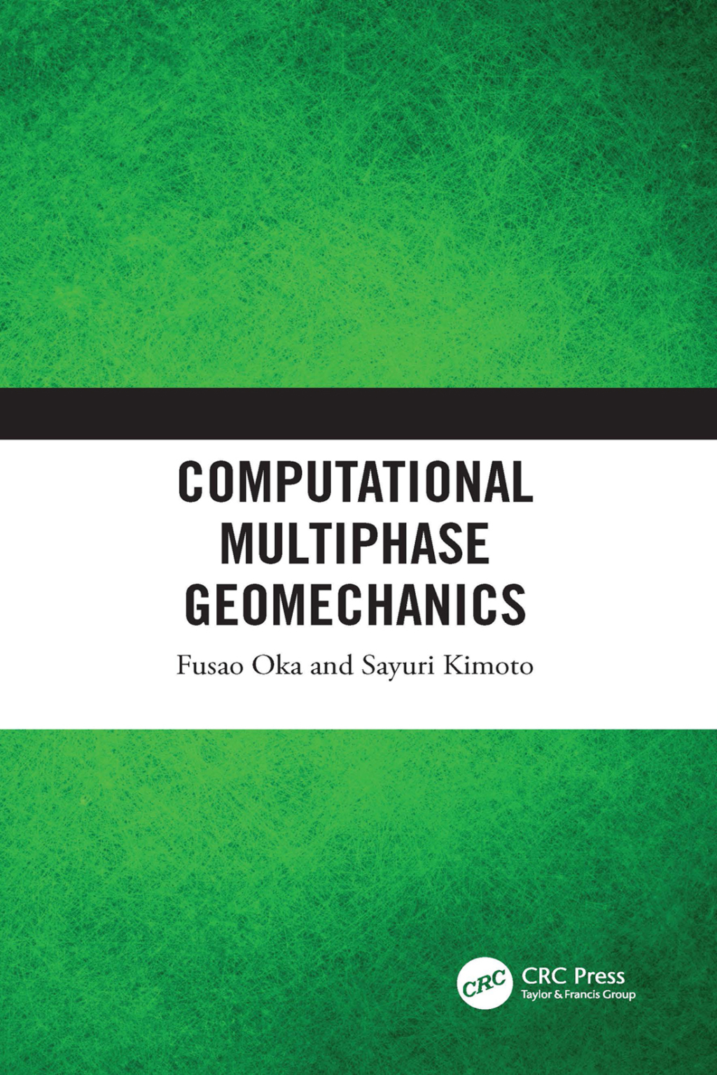 Computational Multiphase Geomechanics 1st Edition