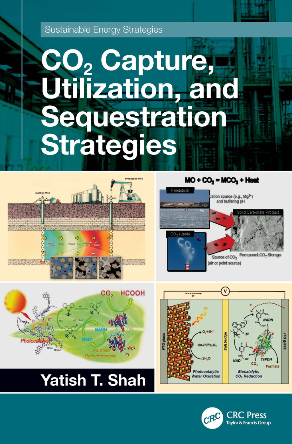 CO2 Capture, Utilization, and Sequestration Strategies 1st Edition